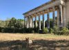 Roman theatre ruins in the south of France.